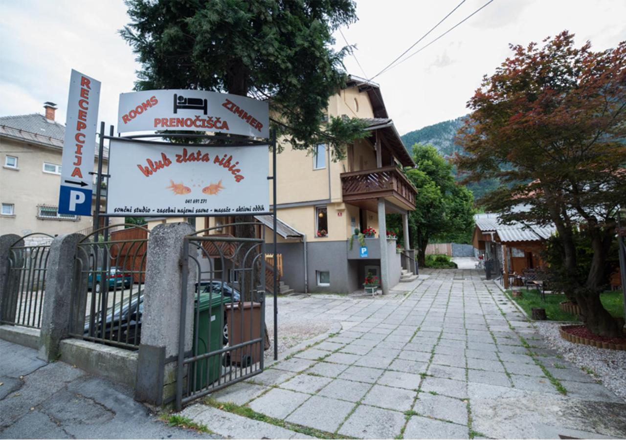 Klub Zlata Ribica Hotel Jesenice Exterior photo